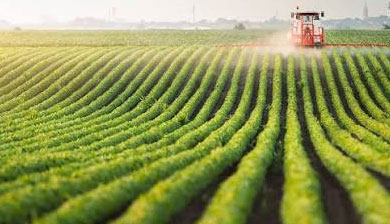 Agriculture and International Development