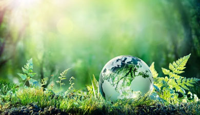 Environmental Sciences